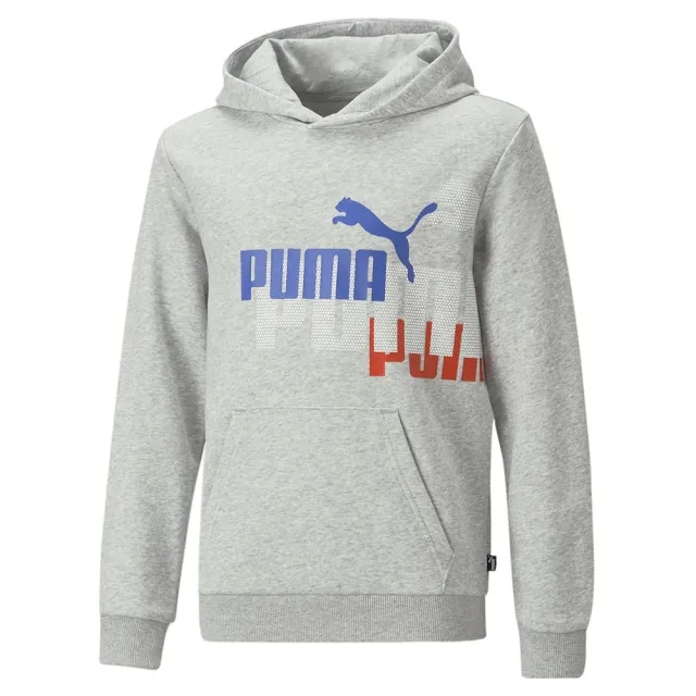 Puma Ess+ Logo Power Hoodie  - Grey