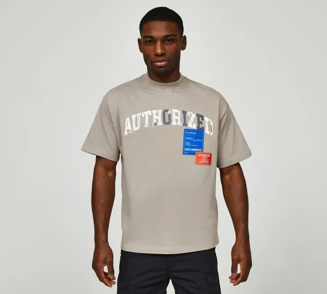 Authorized Distressed Arch Front Logo Relaxed T-Shirt - Grey - Size S - Grey