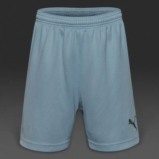 Puma Junior Stadium GK Shorts