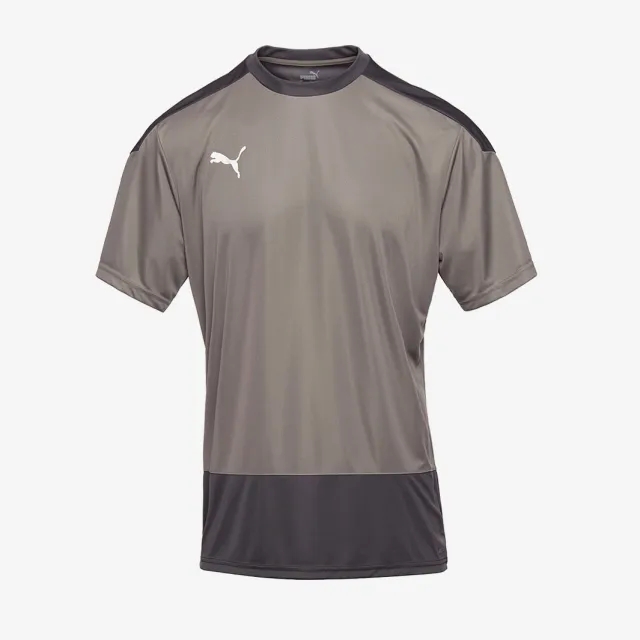 Puma teamGOAL 23 Slim SS Training Shirt