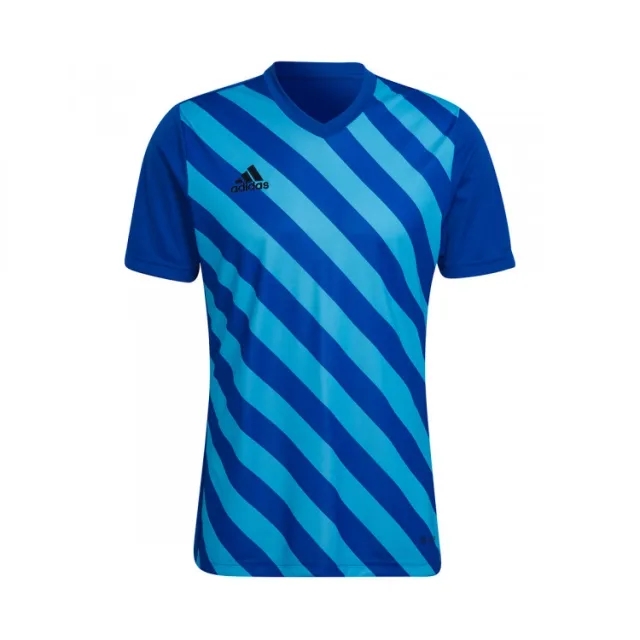 adidas - Entrada 22 Graphic Sky Blue Royal Jersey