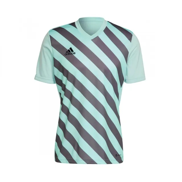 adidas - Entrada 22 Graphic Jersey Mint Green Grey