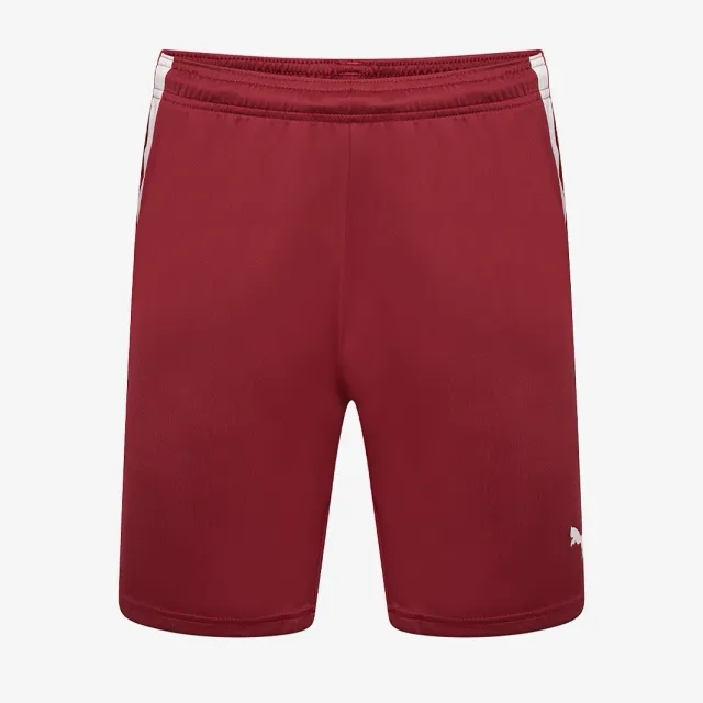 Puma teamLIGA Shorts