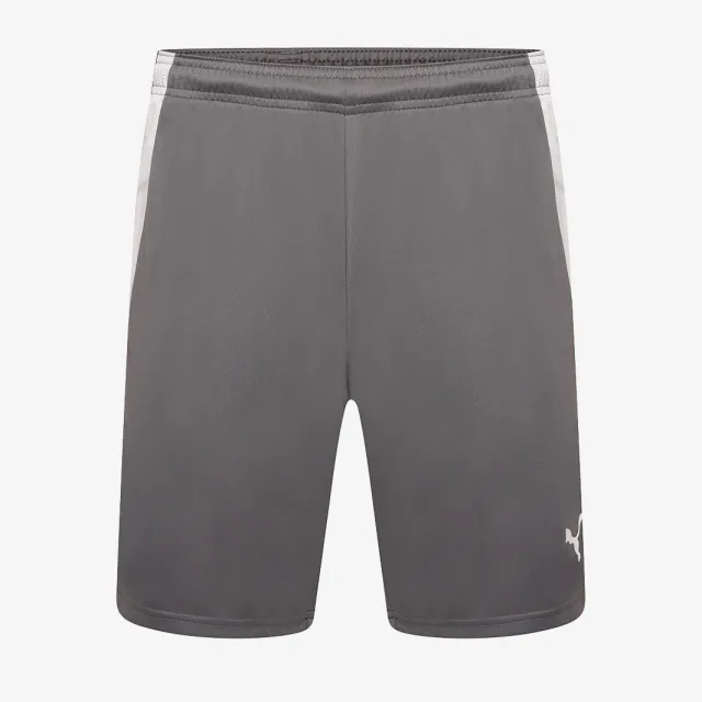 Puma Junior teamLIGA Shorts