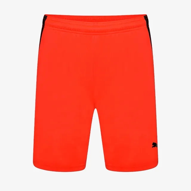 Puma Junior teamLIGA Shorts