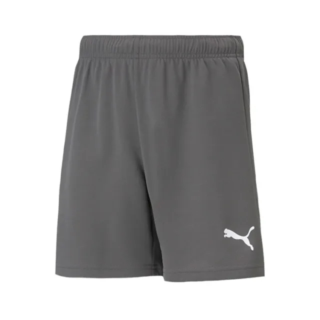 Puma Junior teamRISE Shorts