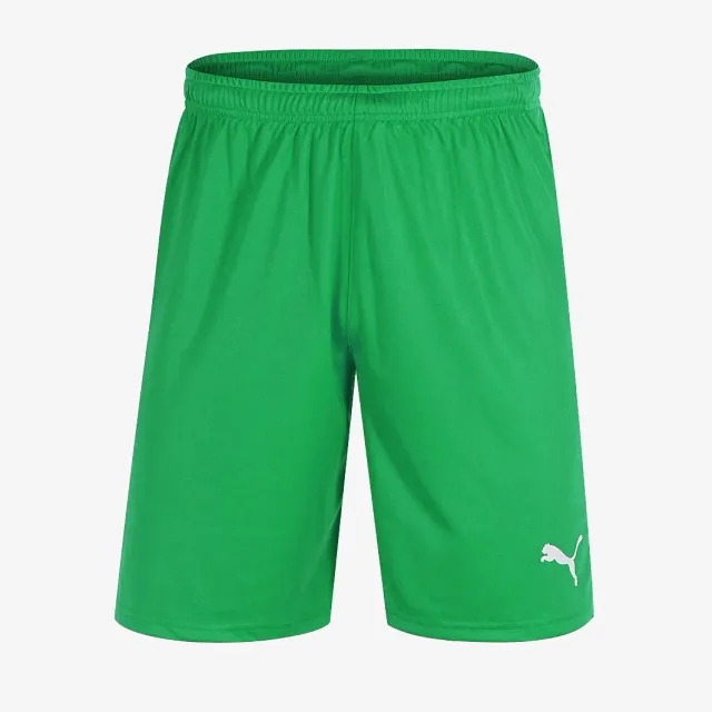 Puma Junior LIGA Shorts
