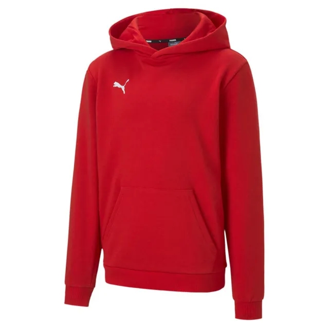 Puma Teamgoal 23 Casuals Hoodie