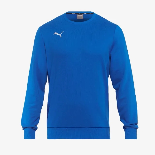 Puma Junior teamGOAL 23 Casuals Sweatshirt