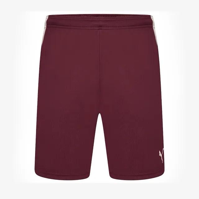 Puma teamLIGA Shorts