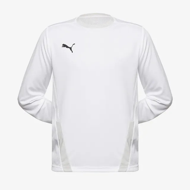 Puma Junior teamGOAL 23 LS Shirt
