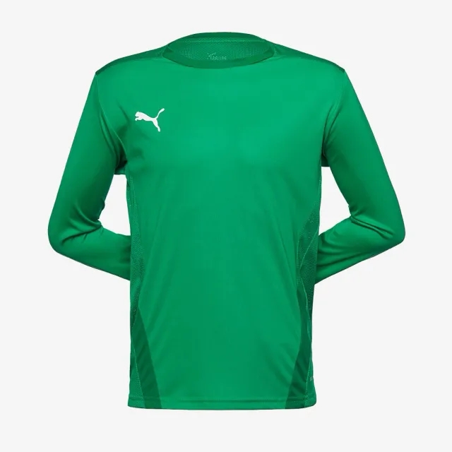 Puma Junior teamGOAL 23 LS Shirt