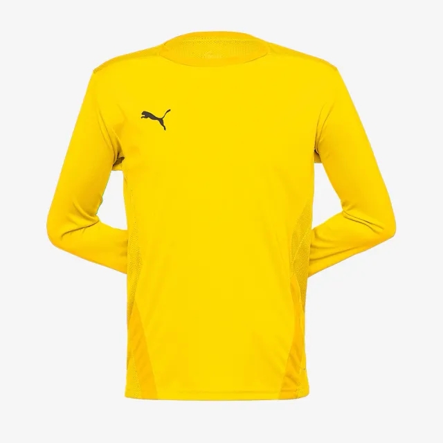 Puma Junior teamGOAL 23 LS Shirt