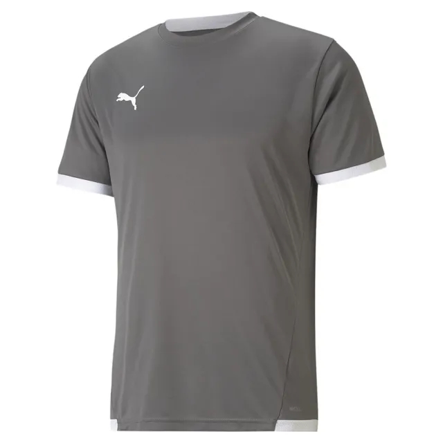 Puma - Grey teamLIGA Jersey