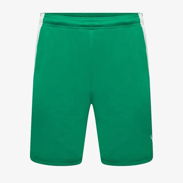 Puma Junior teamLIGA Shorts