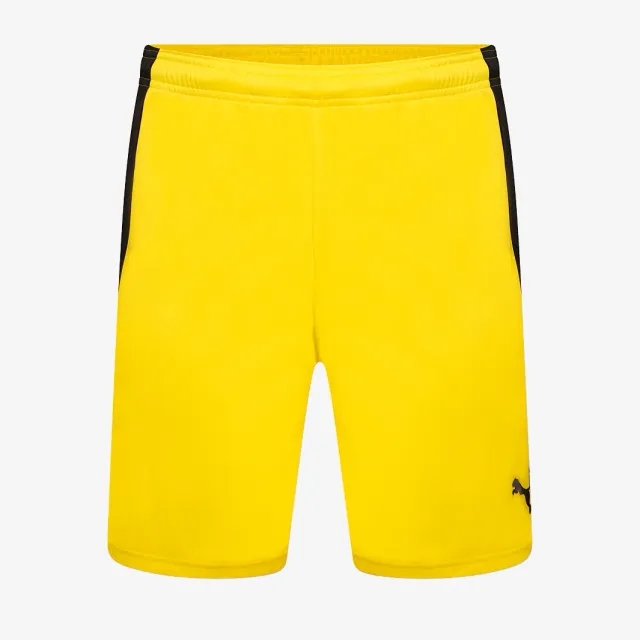 Puma teamLIGA Shorts