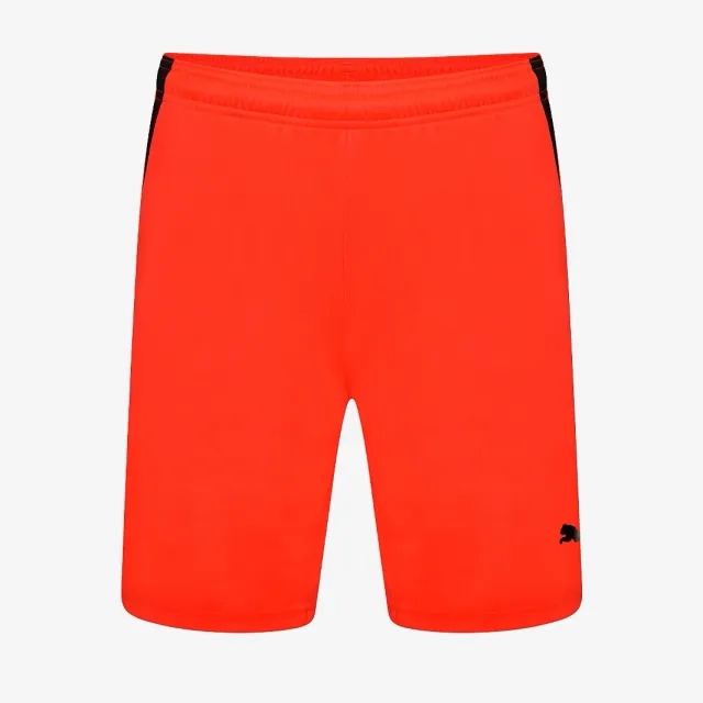 Puma teamLIGA Shorts
