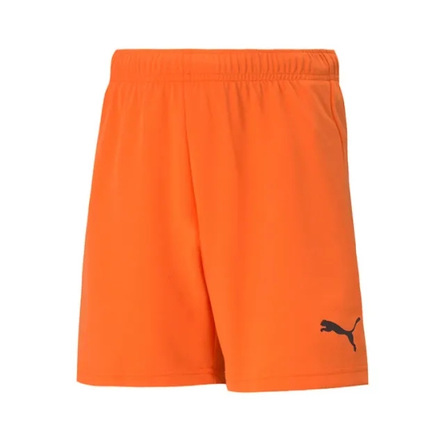 Puma Junior teamRISE Shorts