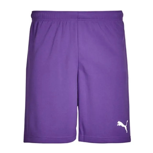 Puma teamRISE Shorts