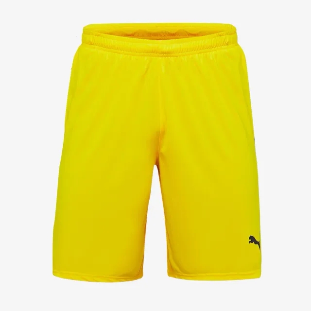 Puma Junior LIGA Shorts
