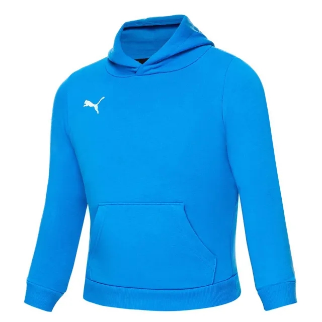 Puma Junior teamGOAL 23 Casuals Hoodie