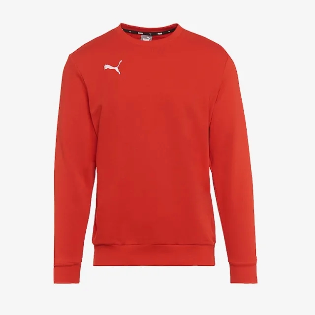 Puma Junior teamGOAL 23 Casuals Sweatshirt