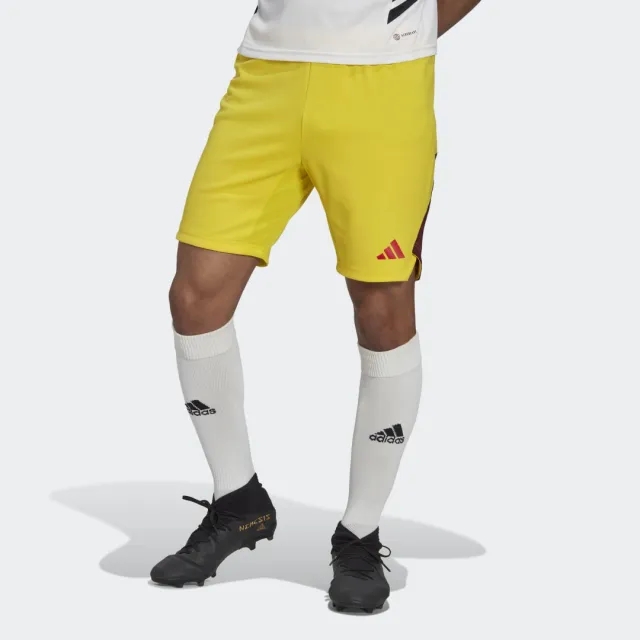 adidas Tiro 23 Pro GK Shorts