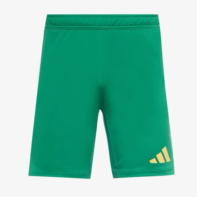 adidas Tiro 24 Pro GK Shorts