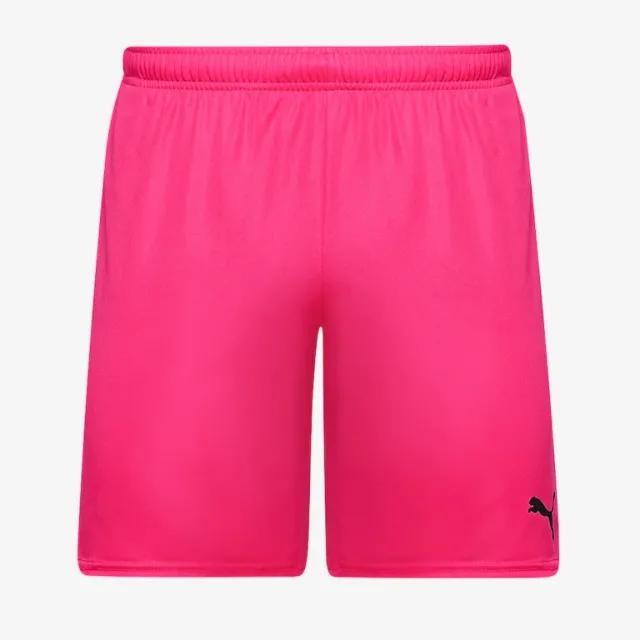 Puma teamGOAL 24 Shorts