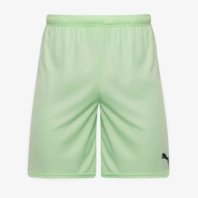 Puma Junior teamGOAL 24 Shorts