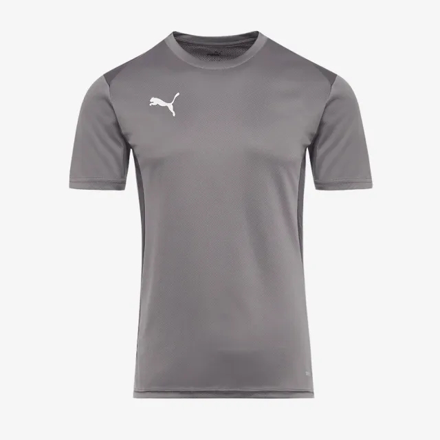 Puma teamGOAL 24 SS Training Shirt