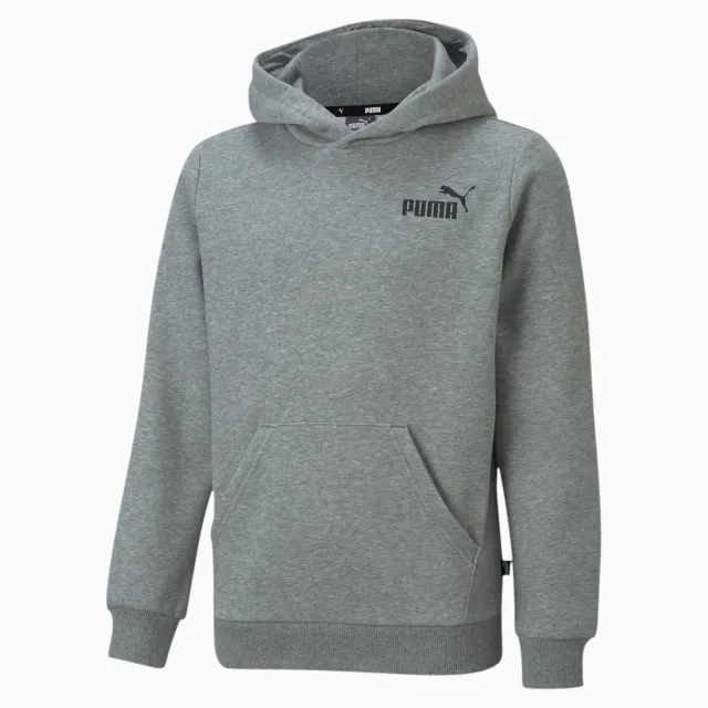 Puma Kids Boys Essentials Small Logo Hoodie Youth - Grey
