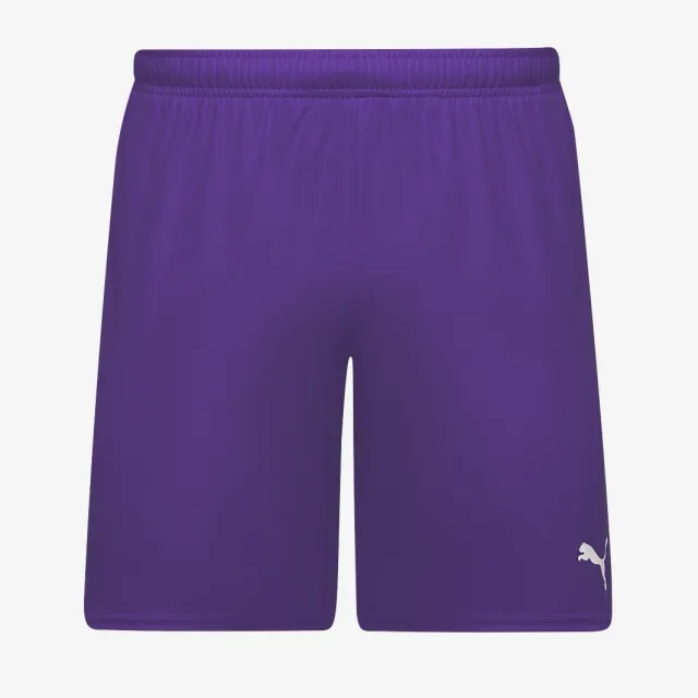 Puma Junior teamGOAL 24 Shorts