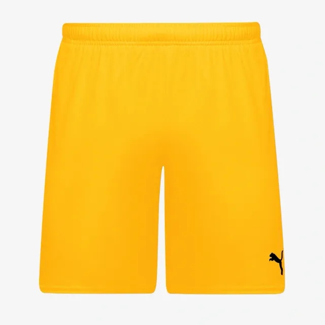 Puma Junior teamGOAL 24 Shorts