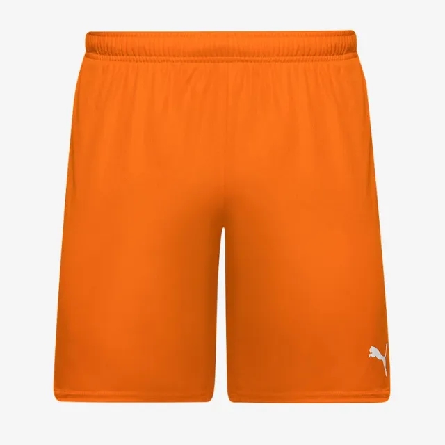 Puma Junior teamGOAL 24 Shorts