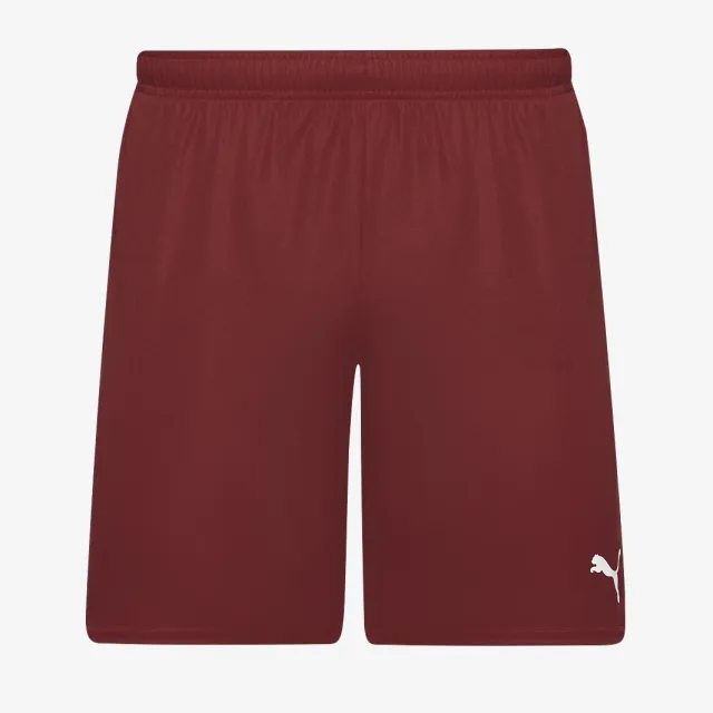 Puma teamGOAL 24 Shorts