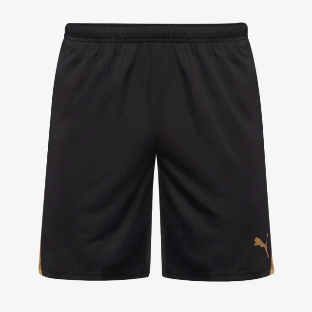 Puma teamGOAL 24 Shorts