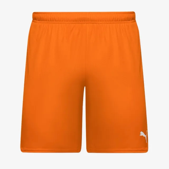 Puma teamGOAL 24 Shorts