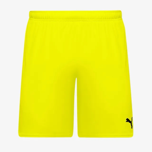 Puma Junior teamGOAL 24 Shorts