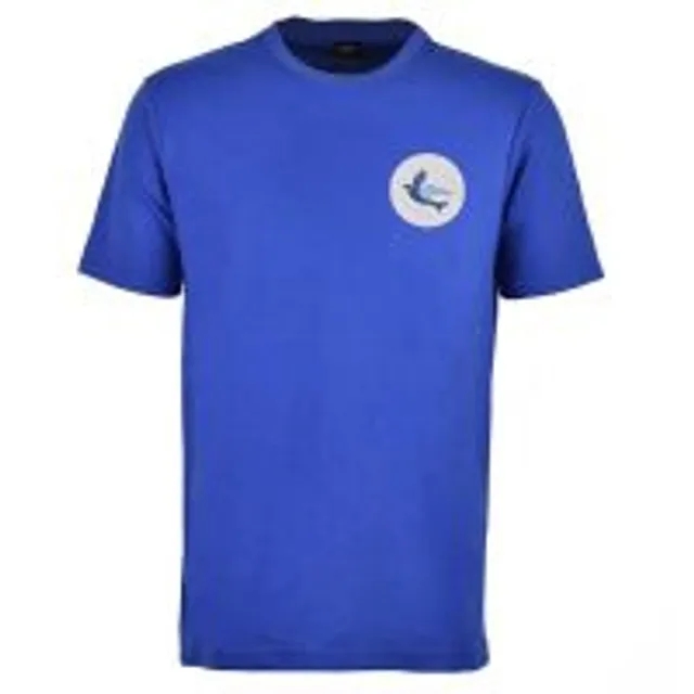 Kids Cardiff City FC T-Shirt Royal