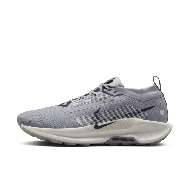 Nike Pegasus Trail 5 GORE-TEX Men's Waterproof Trail-Running Shoes - Grey