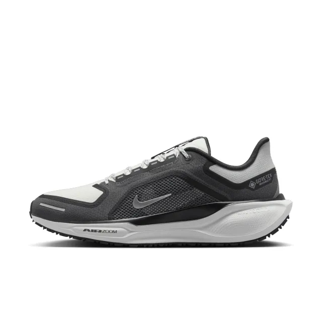 Nike Pegasus 41 GORE TEX
