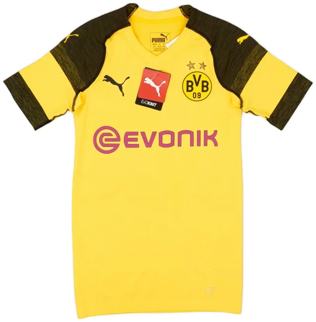Puma 2018-19 Borussia Dortmund Player Issue (EvoKNIT) Home Shirt (S)