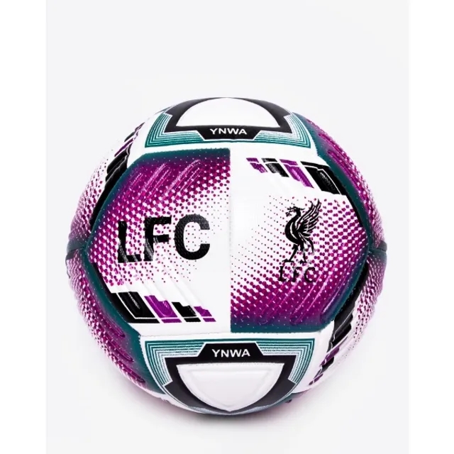 Liverpool FC LFC Size 5 Premium Football