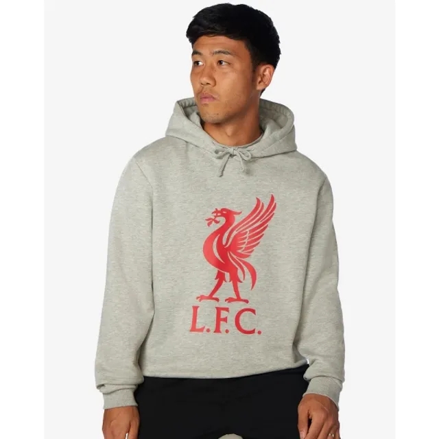 Liverpool FC LFC Liverbird Grey Hoody
