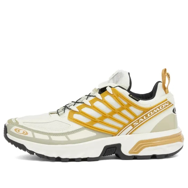 Salomon ACS PRO GTX Icicle/Antelope/Tea