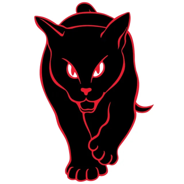 Sunderland Black Cat Spot Wall Sticker - 90cm height x 60cm width