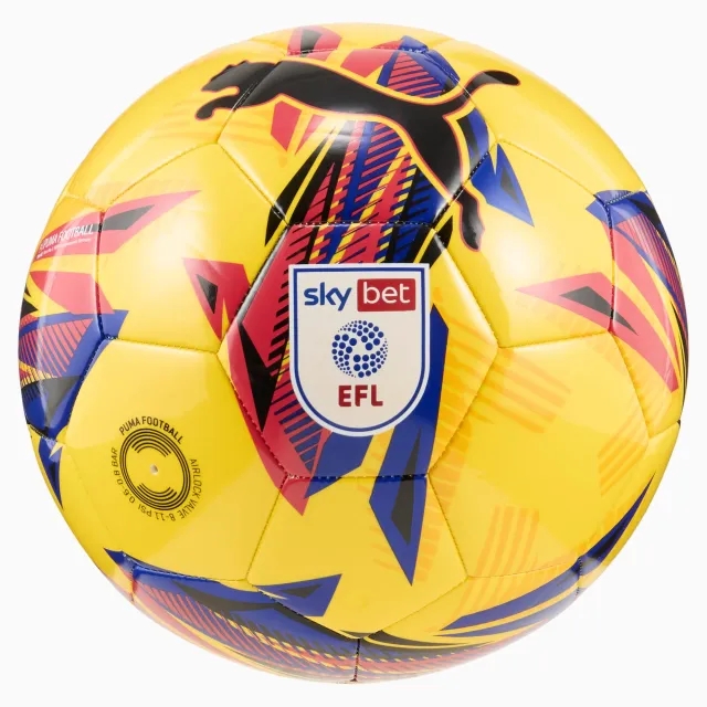 Puma Orbita 6 EFL Sky Bet 24 25 MS Football