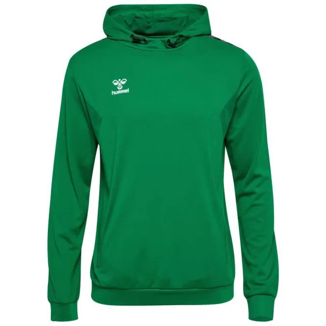 Hummel Authentic Pl Hoodie