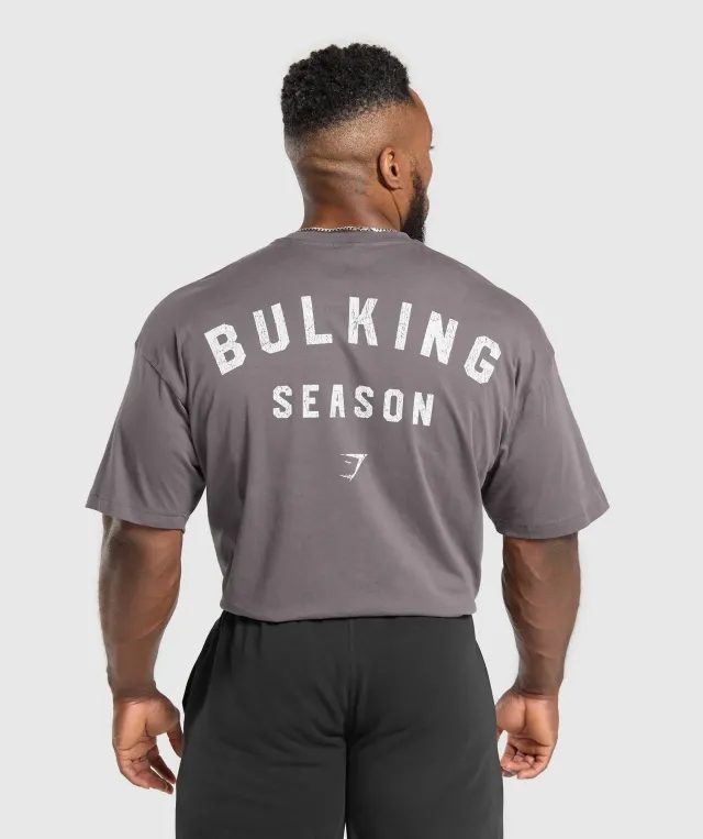 Asics Bulking Season T-Shirt - Brushed Purple